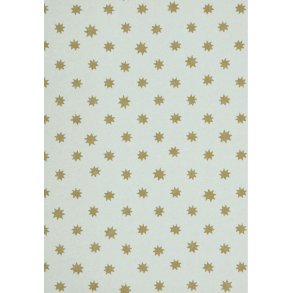 Lower George St - Beryl 