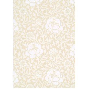 Lansdowne Walk - Frost