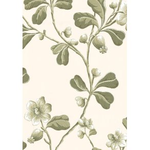 Broadwick St. - Garden