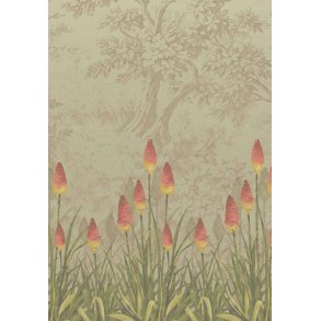 Upper Brook St. - Midi