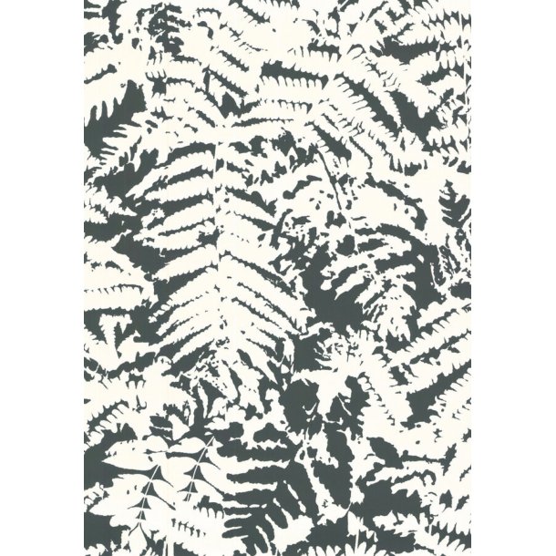 Fern - Off Black