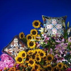 DO YOU SPEAK LACROIX?