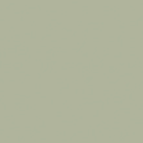 Boringdon Green (295)