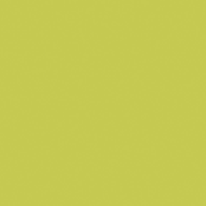 Pale Lime (70)