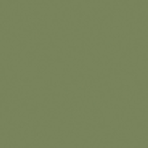Sage Green (80)